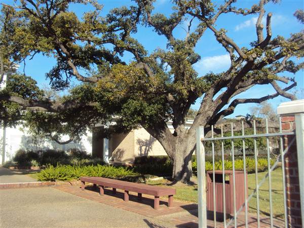 Houston Garden Center (3/7/2013)