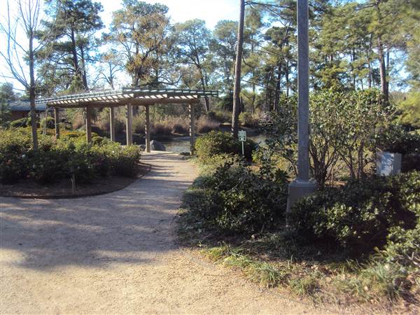 Japanese Garden in Hermann Park (3/7/2013)