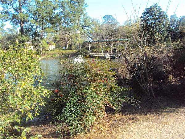 Japanese Garden in Hermann Park (3/7/2013)