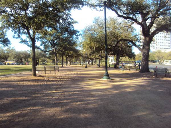 Japanese Garden in Hermann Park (3/7/2013)