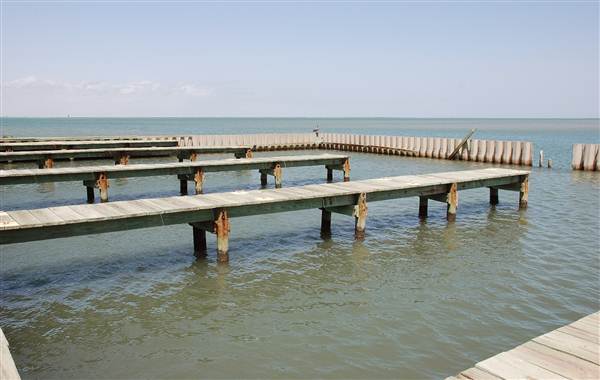 Matagorda Island (4/4/2013)