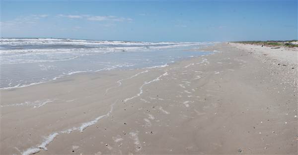 Matagorda Island (4/4/2013)