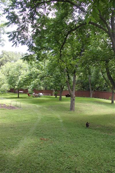 Ward House (6/19/2014)