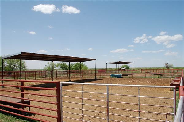 Hunt Ranch (4/29/2014)