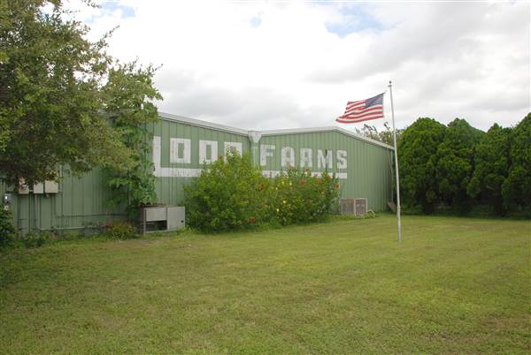 Loop Farms Inc (9/25/2014)