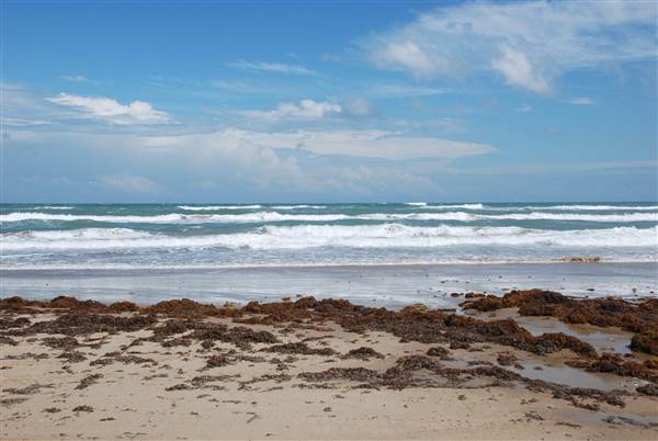 Boca Chica Beach & Dunes (9/25/2014)