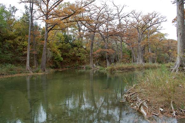 Old Glory Ranch (11/13/2014)