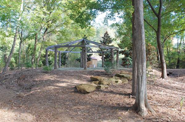 Gayla Mize Garden (11/11/2014)