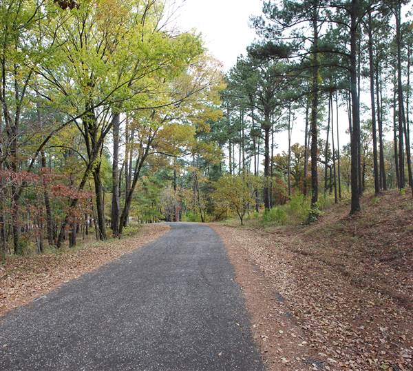 Davey Dogwood Park (11/13/2014)