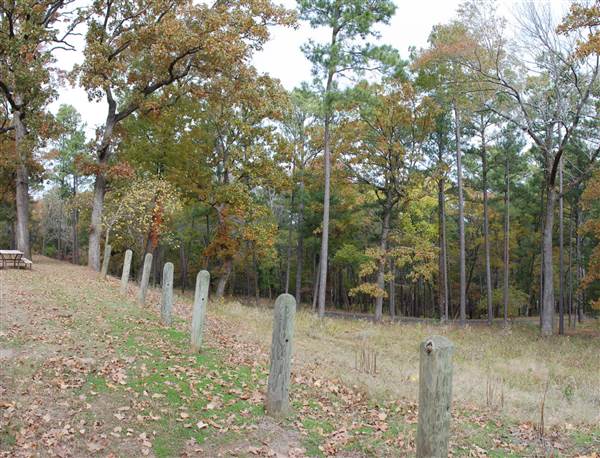 Davey Dogwood Park (11/13/2014)