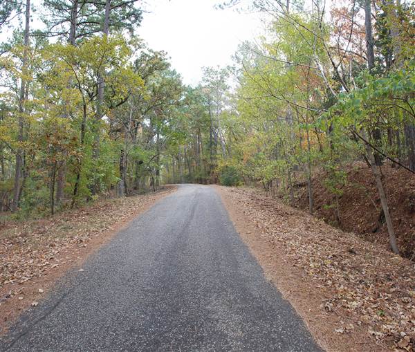 Davey Dogwood Park (11/13/2014)