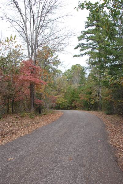 Davey Dogwood Park (11/13/2014)