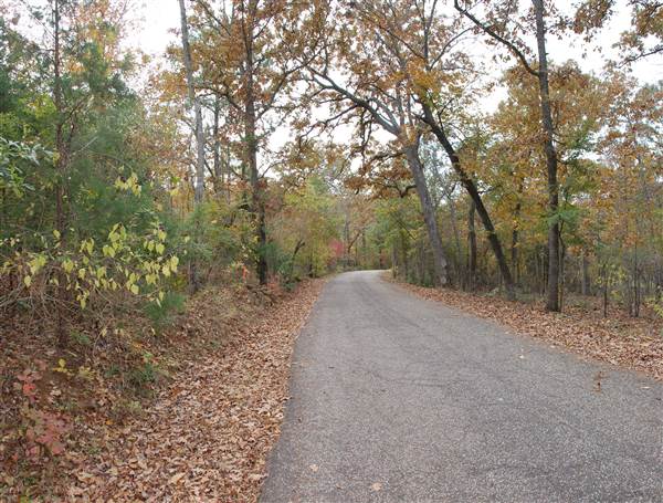 Davey Dogwood Park (11/13/2014)
