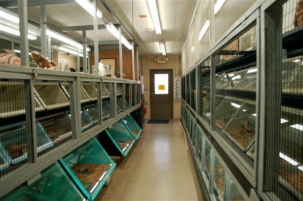 Animal World and Snake Farm (1/19/2015)