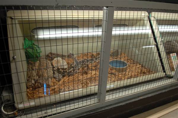 Animal World and Snake Farm (1/19/2015)