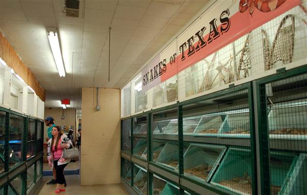 Animal World and Snake Farm (1/19/2015)