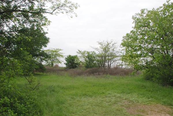 Cedar Hill State Park (4/13/2015)