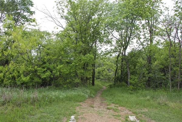 Cedar Hill State Park (4/13/2015)