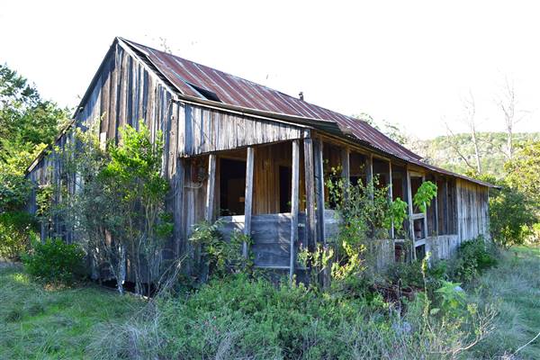 Madrone Ranch (11/12/2015)