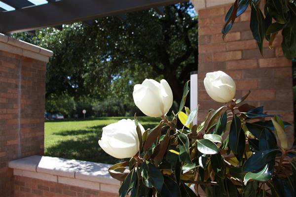 McLennan Community College (1/12/2016)