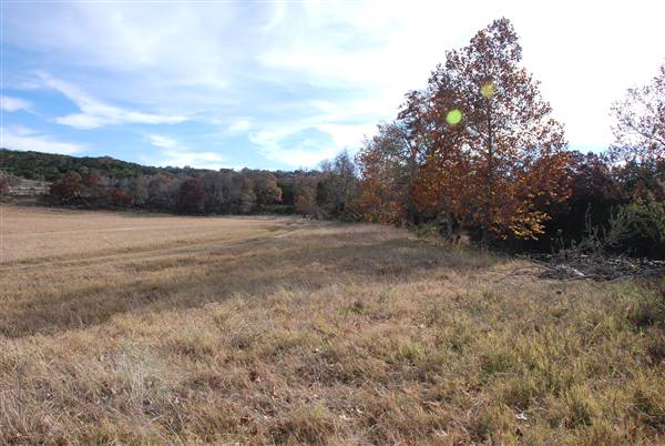 Longhorn River Ranch (12/9/2015)
