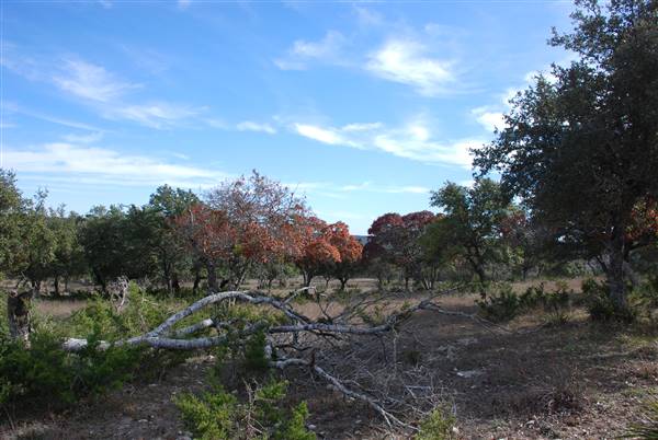 Longhorn River Ranch (12/9/2015)