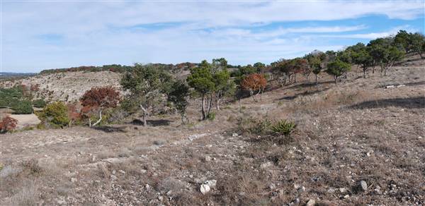 Longhorn River Ranch (12/9/2015)