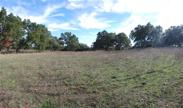 Longhorn River Ranch (12/9/2015)
