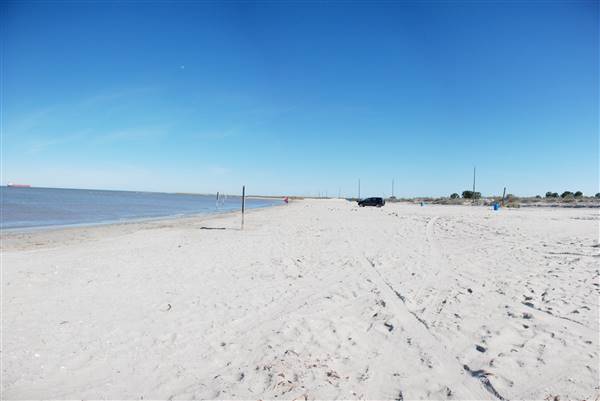 East Beach (2/16/2016)