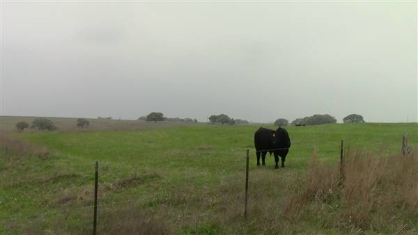 Maeshill Farm (4/18/2016)