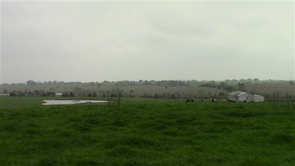 Maeshill Farm (4/18/2016)