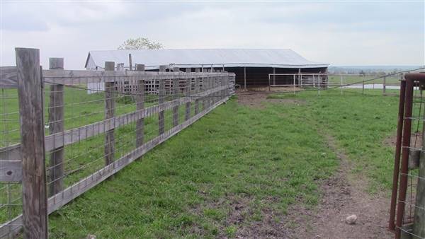 Maeshill Farm (4/18/2016)