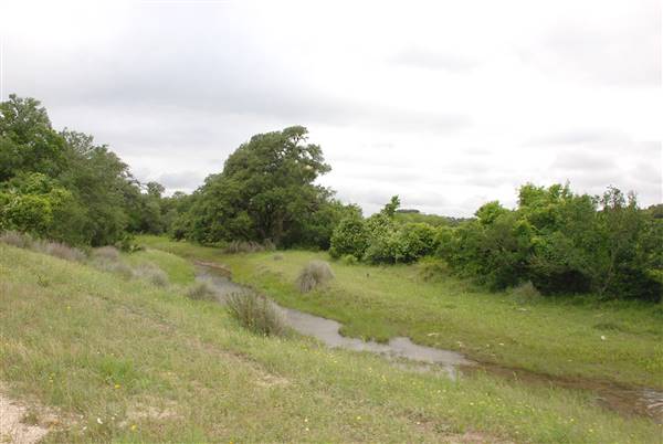 Storm Ranch (5/10/2016)