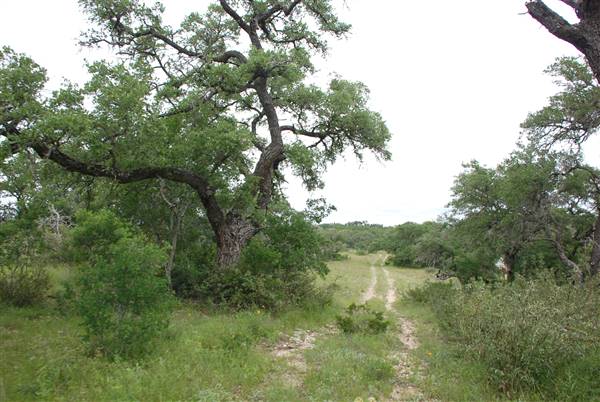 Storm Ranch (5/10/2016)