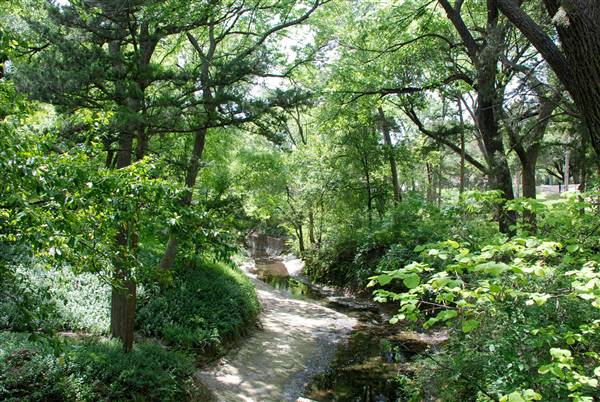 Davis Park (4/14/2016)