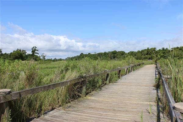 Seabrook Hike & Bike Trails (6/16/2016)