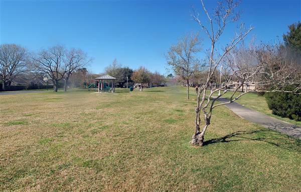 Swan Lagoon Park (3/4/2016)