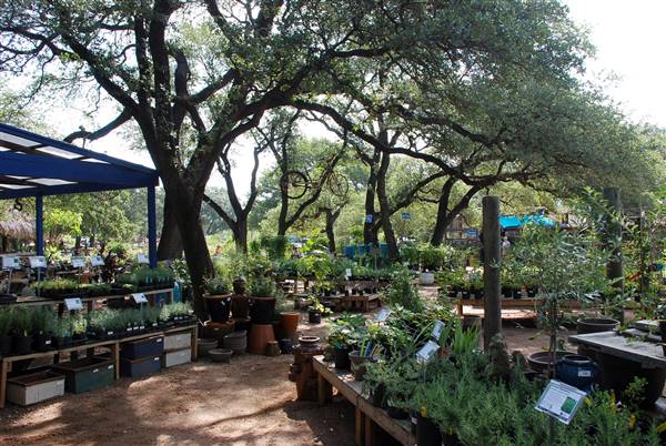 Hill Country Water Gardens & Nursery (8/11/2017)