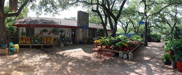 Hill Country Water Gardens & Nursery (8/11/2017)