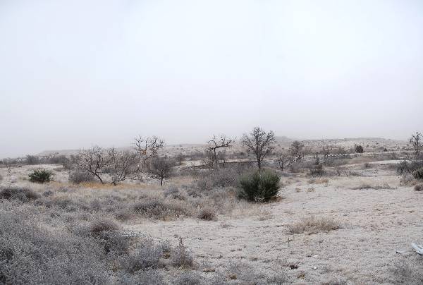 Mendota Ranch (12/13/2007)