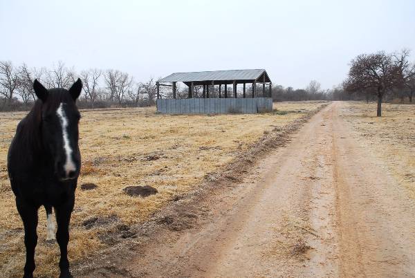 Mendota Ranch (12/13/2007)