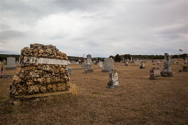 Fairy Cemetery (3/9/2018)