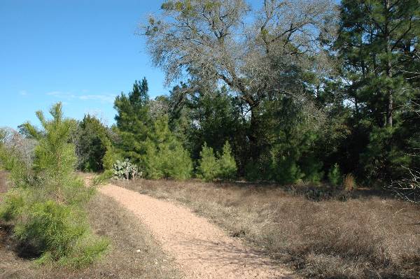 McKinney Roughs Nature Park (1/17/2008)