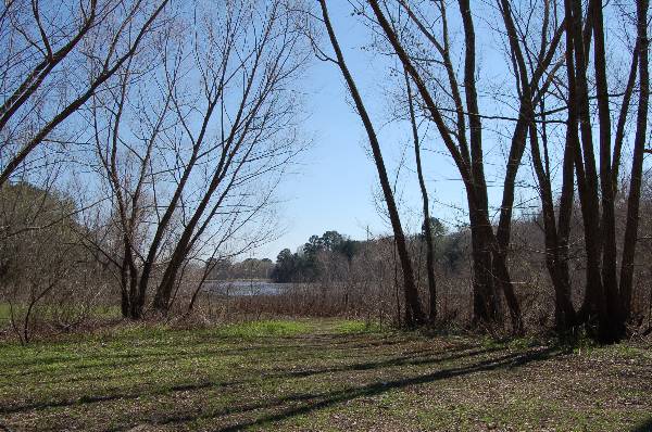 Buescher State Park (2/26/2008)