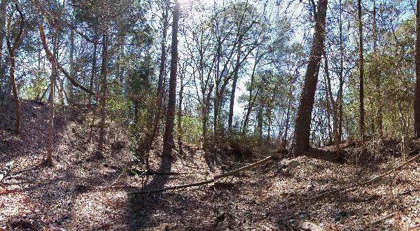 Buescher State Park (2/26/2008)