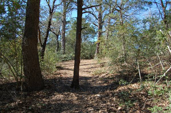 Buescher State Park (2/26/2008)