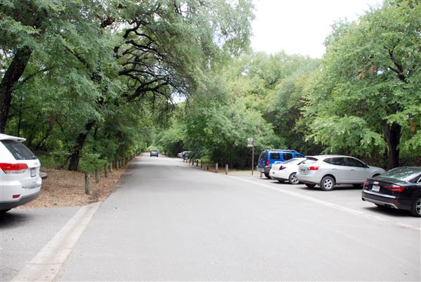 Brackenridge Park (7/5/2018)