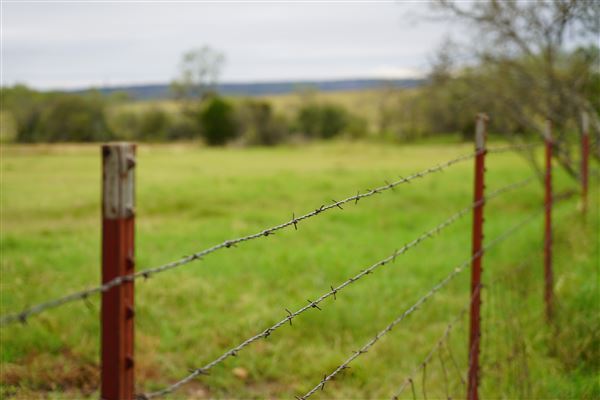 Dockery Ranch (1/4/2019)