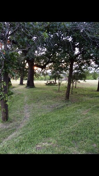 Obregon Ranch (5/14/2019 - Credits: Jariah Obregon)