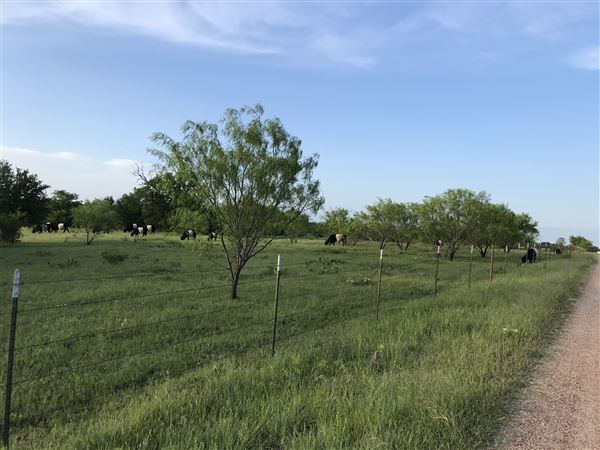 Obregon Ranch (5/14/2019 - Credits: Jariah Obregon)